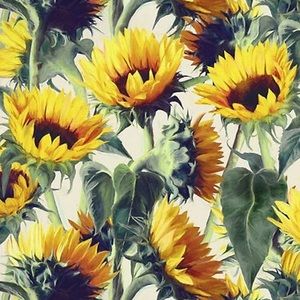 Meet your Posher, Dominique